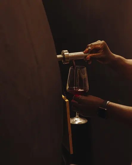 Savoring Opulence: The World of Fine Wines and Gourmet&nbsp;Gastronomy